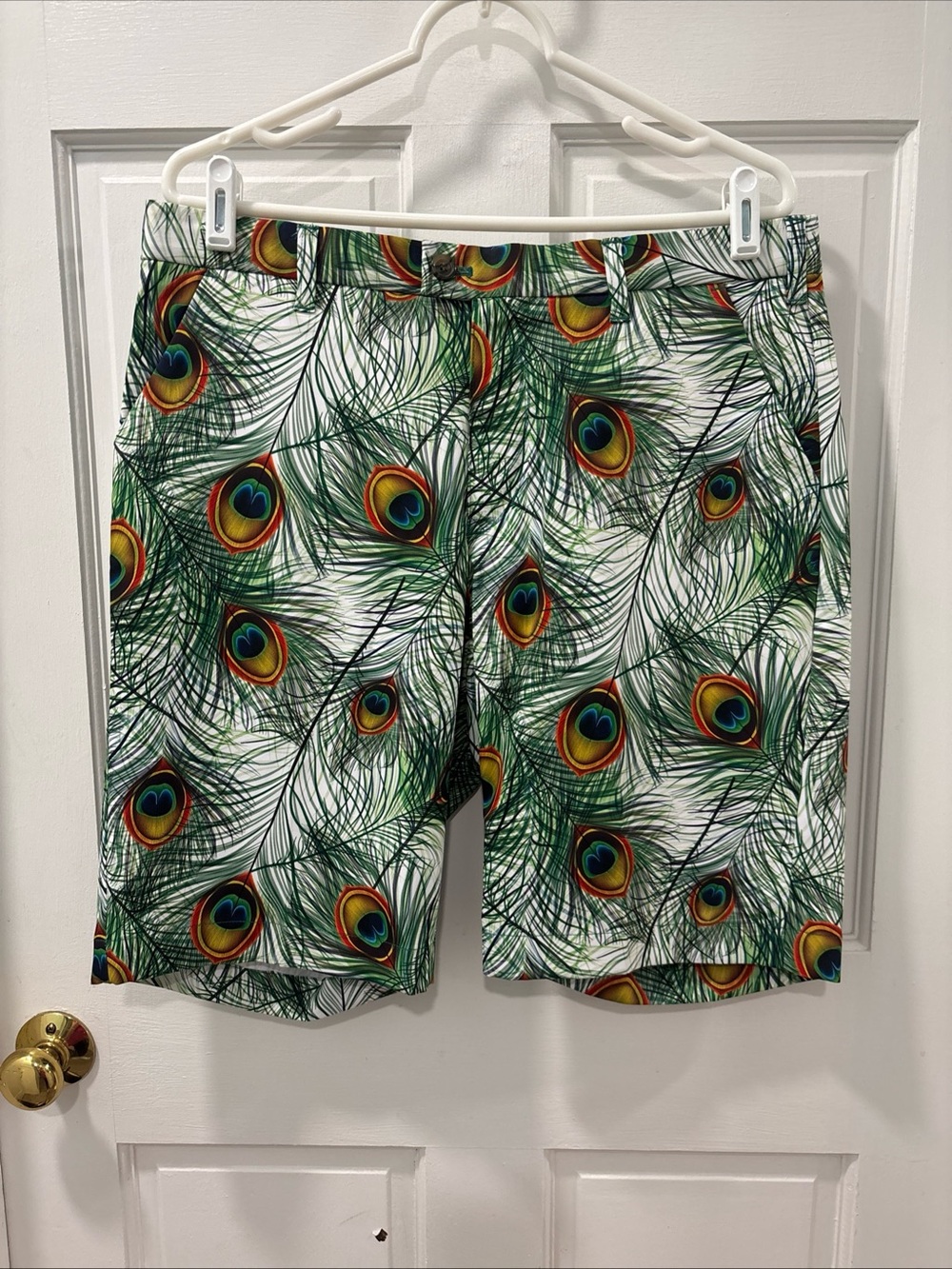 Loudmouth Golf Men’s Performance Golf Shorts Size 34 Peacock Feathers Print EUC